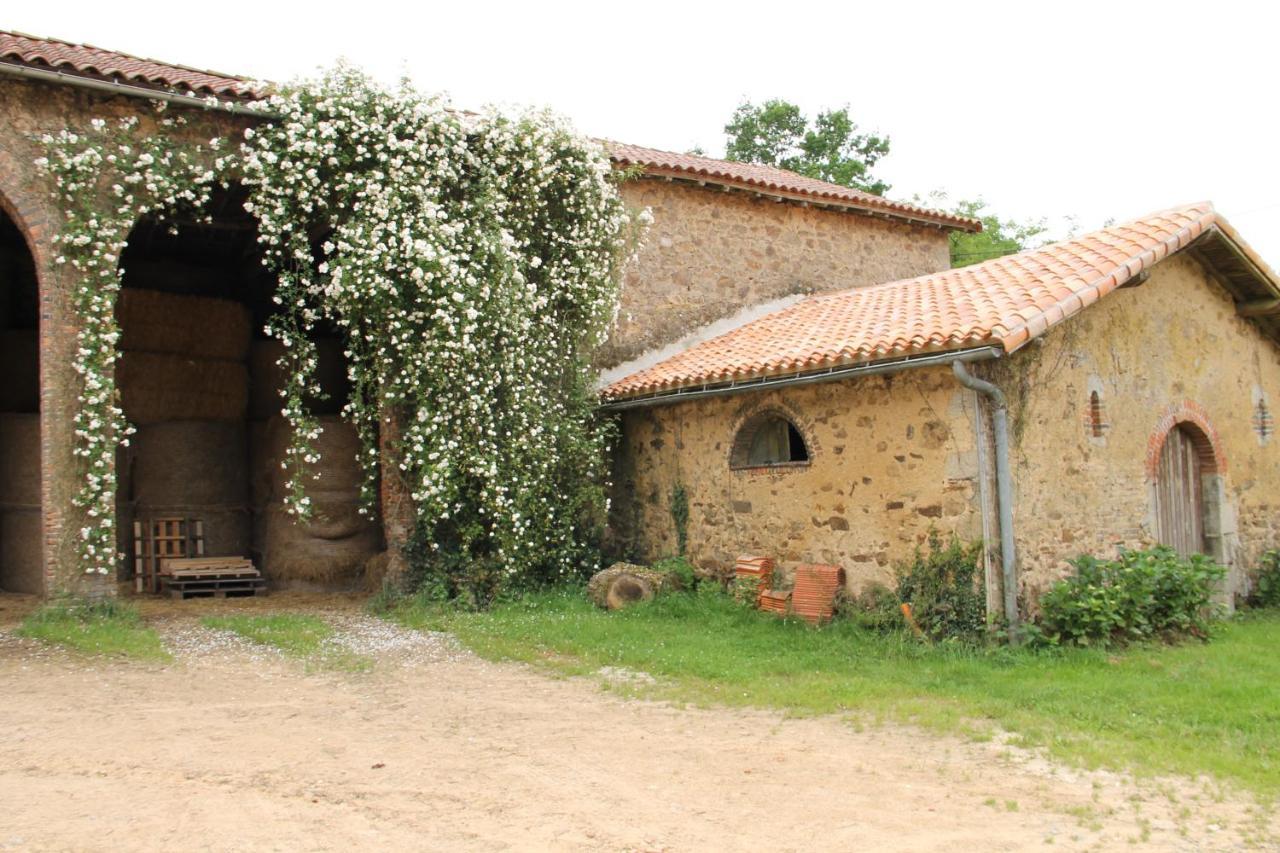 Domaine des Roches Blanches - Site Classé Le Pin  Exterior foto
