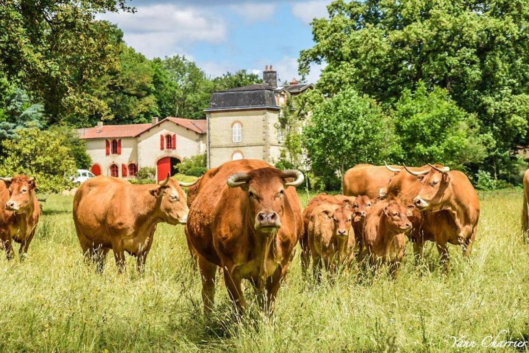 Domaine des Roches Blanches - Site Classé Le Pin  Exterior foto