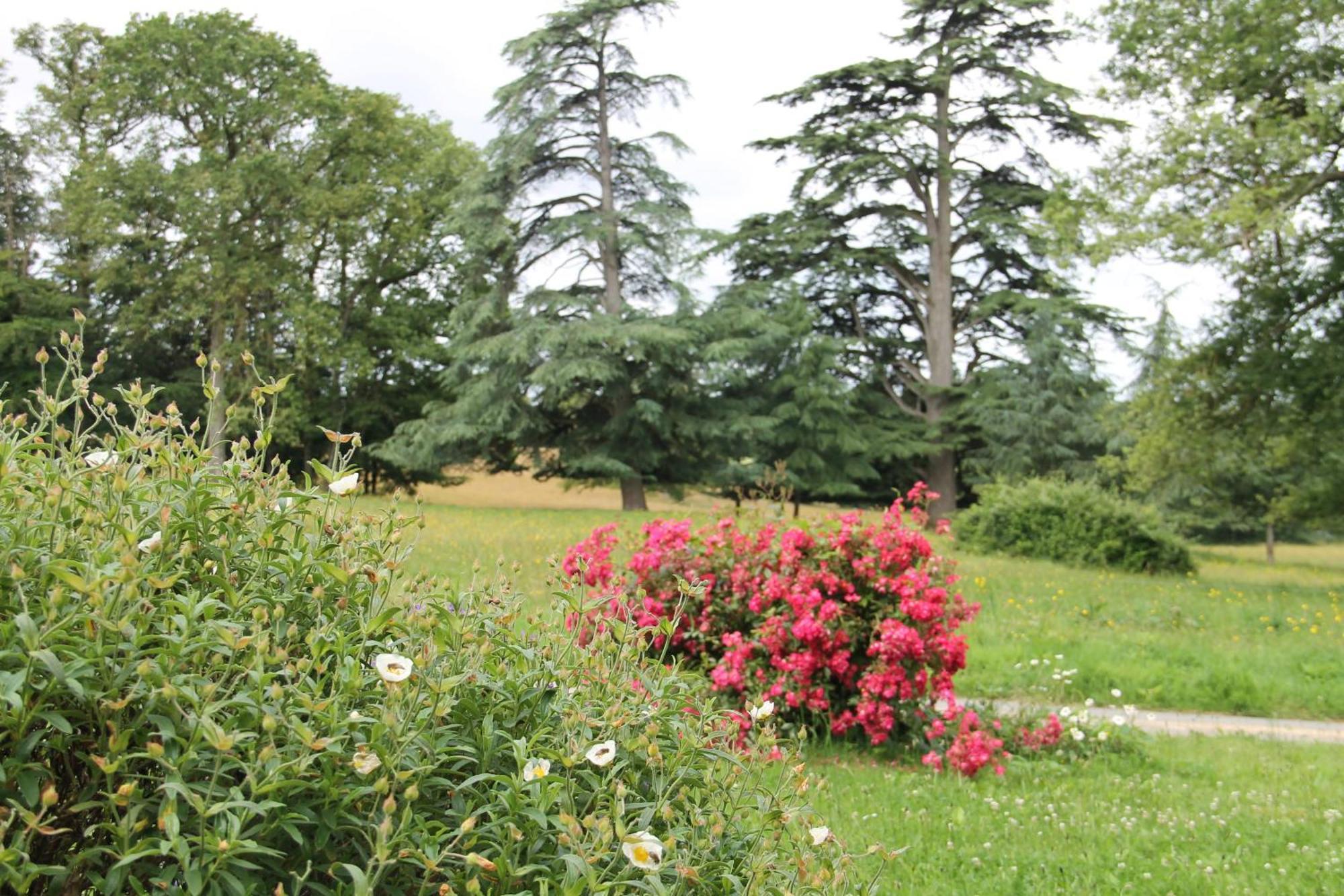 Domaine des Roches Blanches - Site Classé Le Pin  Exterior foto
