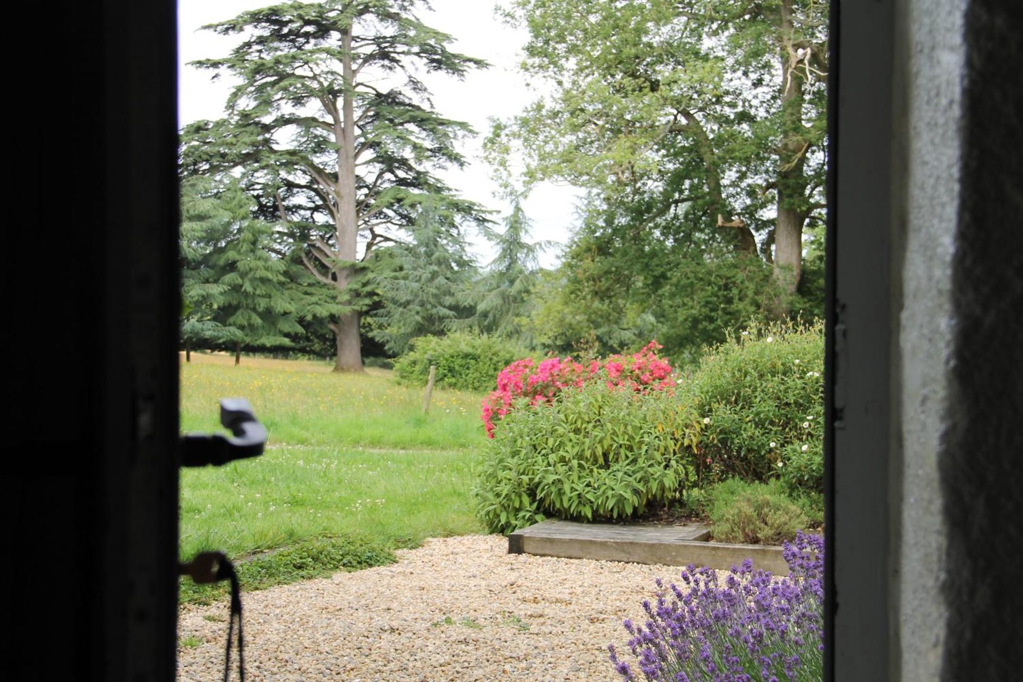 Domaine des Roches Blanches - Site Classé Le Pin  Exterior foto