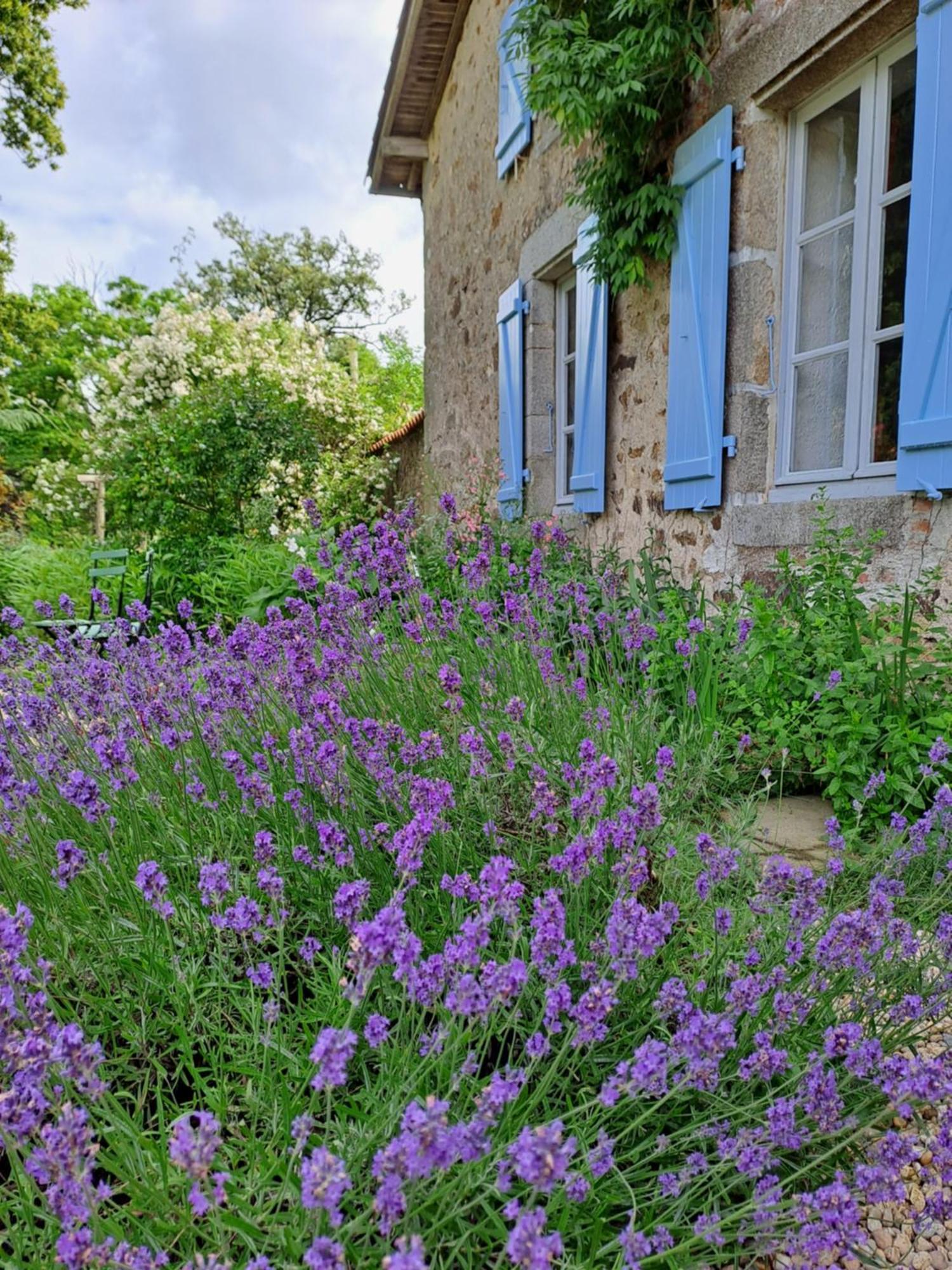 Domaine des Roches Blanches - Site Classé Le Pin  Exterior foto
